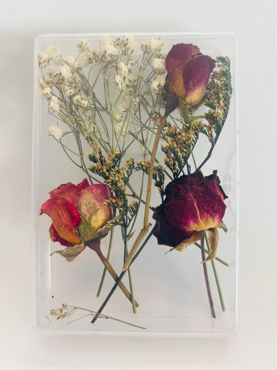 Mini rosas secas