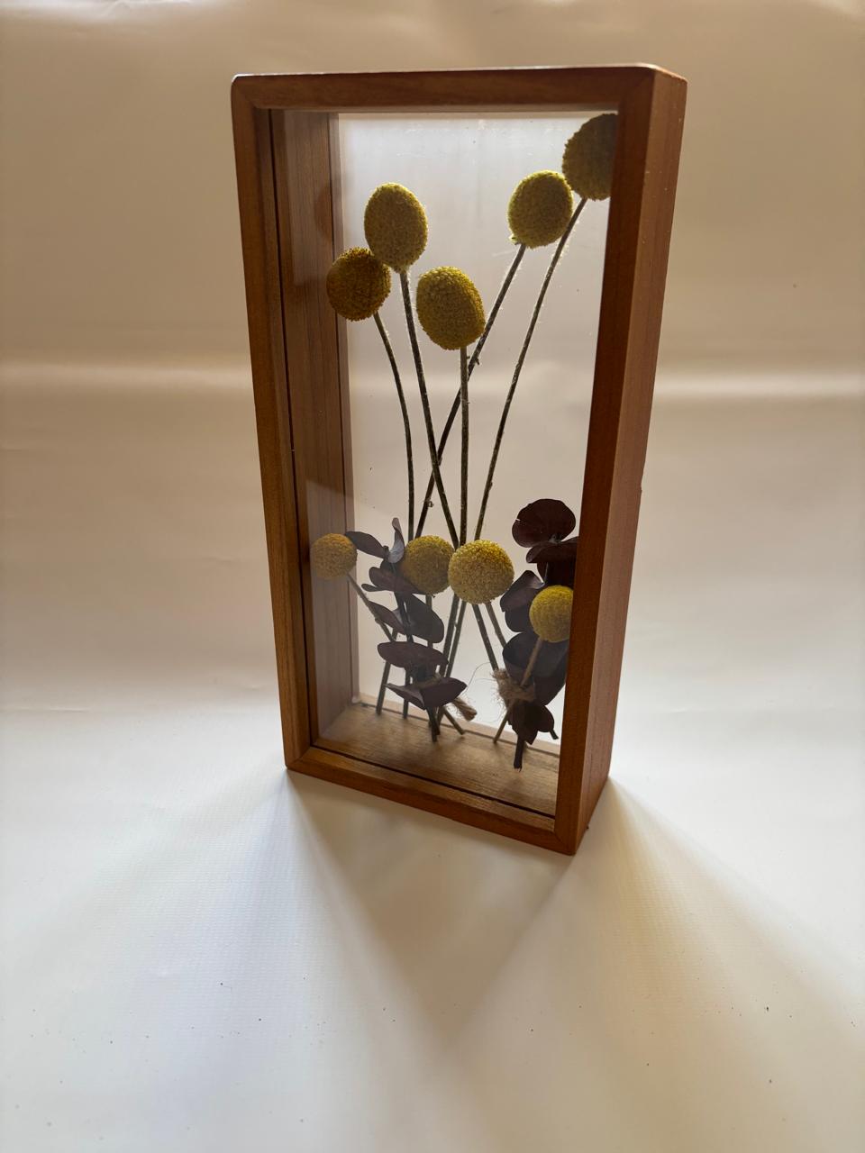 Cuadro de Craspedias - Imagen 2