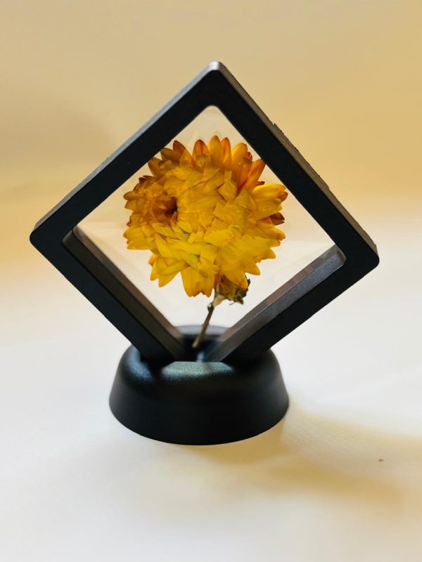 Mini Cuadro Decorativo